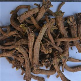 黄芩个子 统山西 大货供应 清热燥湿 泻火解毒