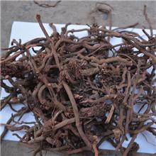 茜草大统个子 山西 ..