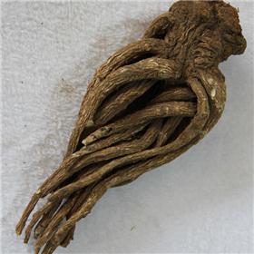 岷县无硫当归精品个子