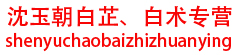 沈玉朝白芷、白术专营