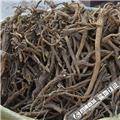 黄芩 个子 内蒙家种 清热燥湿 泻火解毒 止血 安胎