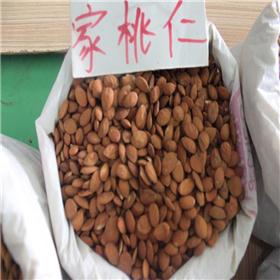 家桃仁