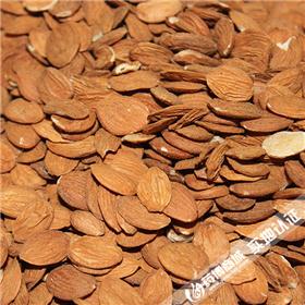 家桃仁 活血祛痰 润肠通便 优质价廉