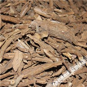 地骨皮 甘肃 各种规格 质优价廉 凉血除蒸 清肺降火