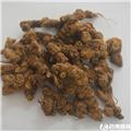苍术 统个 大货供应