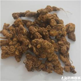 苍术 统个 大货供应