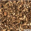 苍术 统片