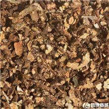 苍术 统片