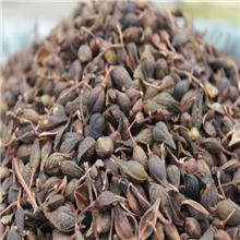 连翘 统（水煮）河南..