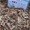 鬼箭羽 片子 安徽 活血散瘀 杀虫
