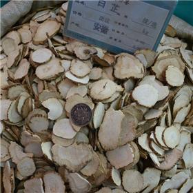 白芷 无硫片子 选 安徽 散风除湿 通窍止痛 消肿排脓