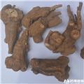 白术 个子 无硫