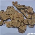 白术 片 选