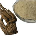 当归粉 精选超细 优质价廉 质量保证