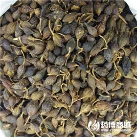 连翘 优质大货 清热解毒 消肿散结