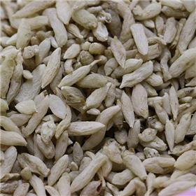 麦冬 米粒湖北 大货供应 养阴生津 润肺清心