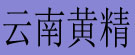云南黄精专营