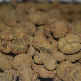 延胡索 选裝 个子