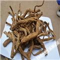 百部 优质价廉 