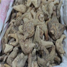 三叉白芨 云南