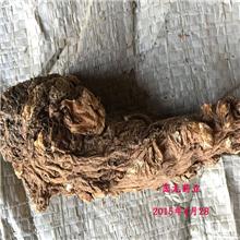 甘肃原产地一等无硫当..