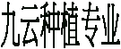 九云种植专业合作社