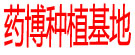 药博商城种植基地