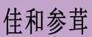佳和参茸