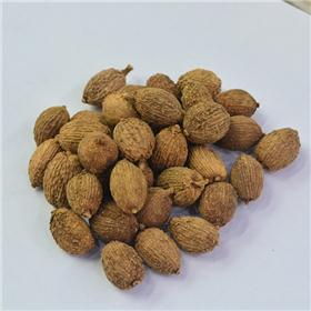 壳砂 选货 海南 大货供应 化湿行气 温脾止泻 安胎