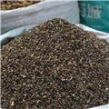 砂仁米 海南 大货 质优价廉 化湿行气 温脾止泻 安胎