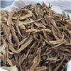 山东红芝片子（统货） 大货供应 滋补强壮