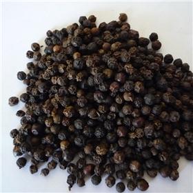 黑胡椒  大货供应 温中散寒 用于胃寒呕吐 腹痛泄泻