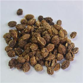 砂仁 质优 大货 化湿行气 温脾止泻 安胎