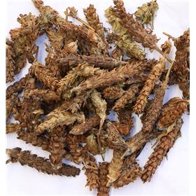 夏枯球 选统货 各种规格 常年供应（河南）