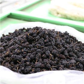桑葚（黑） 亳州 质优价廉 补血滋阴 生津润燥