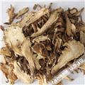 全归 甘肃 优质价廉 大货供应
