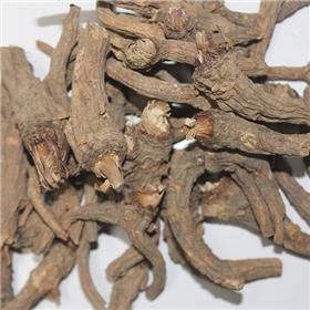 前胡 个子 家种 浙江 大货 疏散风热 降气化痰