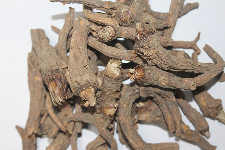 前胡 个子 家种 浙江 大货 疏散风热 降气化痰 药博商城 前胡 个子 家种 浙江 大货 疏散风热 降气化痰 药博商城