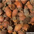 金樱子 质优