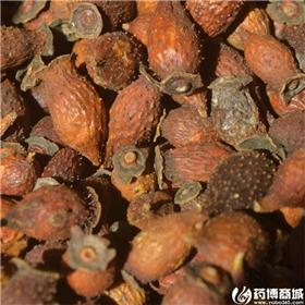 金樱子 质优