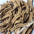 巴戟肉 竖纹 0.8-1.0cm 大货供应  补肾阳 强筋骨 祛风湿