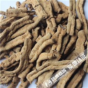 巴戟肉 竖纹 0.8-1.0cm 大货供应  补肾阳 强筋骨 祛风湿