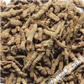 巴戟天 0.6-0.8cm 大货供应 补肾阳 强筋骨 祛风湿