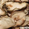 佛手 质优价廉 大货 行气止痛  和胃化痰