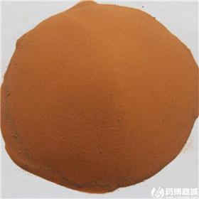 海金沙 正品 江西  