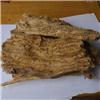 葛根 片 统装 四川 大货供应 解肌退热 生津 透疹 升阳止泻