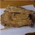 葛根 片 统装 四川 大货供应 解肌退热 生津 透疹 升阳止泻