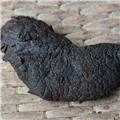 大芸（内蒙）纯肉