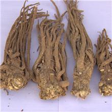 当归片系列原产地直销