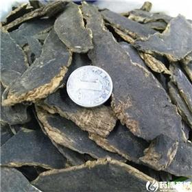 玄参片 统货